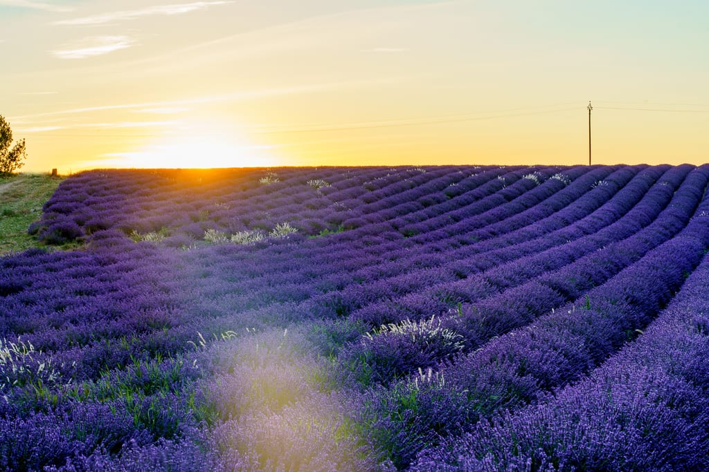 Travel Photography Across Europe — photograph